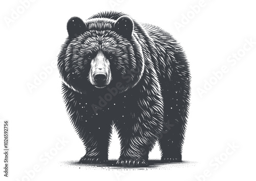 bear vector, bear silhouette