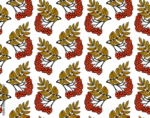 Rowan berries vector pattern, wrapping paper or fabric pattern with hand drawn colorful rowan berries and leaves