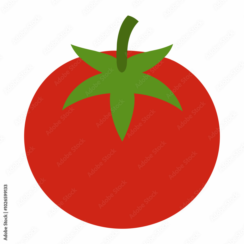 Tomato Solanum lycopersicum creative vector design Tomato Solanum lycopersicum creative vector design