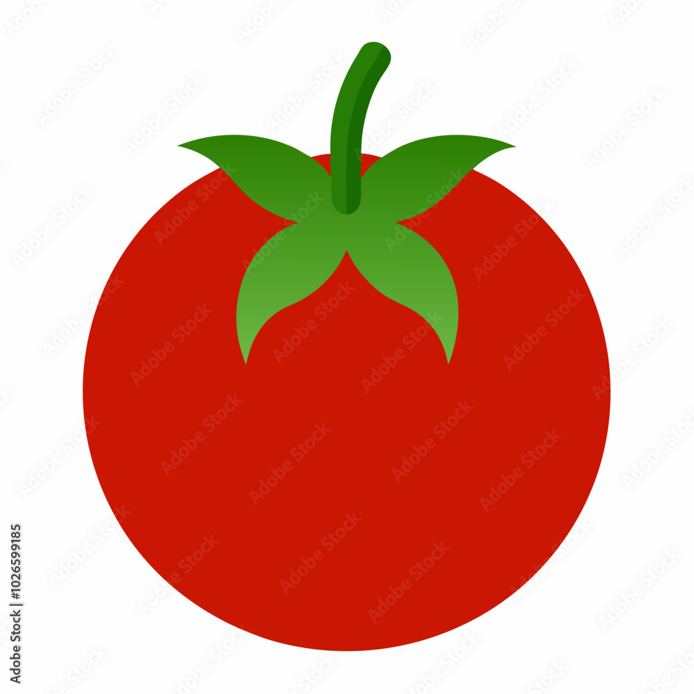 Tomato Solanum lycopersicum creative vector design Tomato Solanum lycopersicum creative vector design