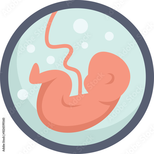 Illustration of a human embryo developing inside the womb, representing the beginning of life