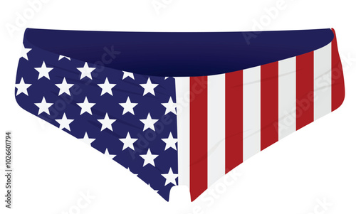 USA flag panties. vector illustration