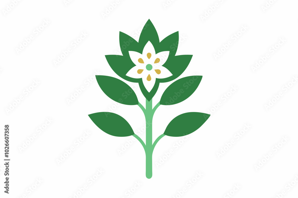 Yerba Santa Eriodictyon californicum creative vector design Yerba Santa Eriodictyon californicum creative vector design