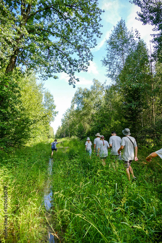 Foto children and adults walk in the thickets of the forest, summer, hike, walk, excu