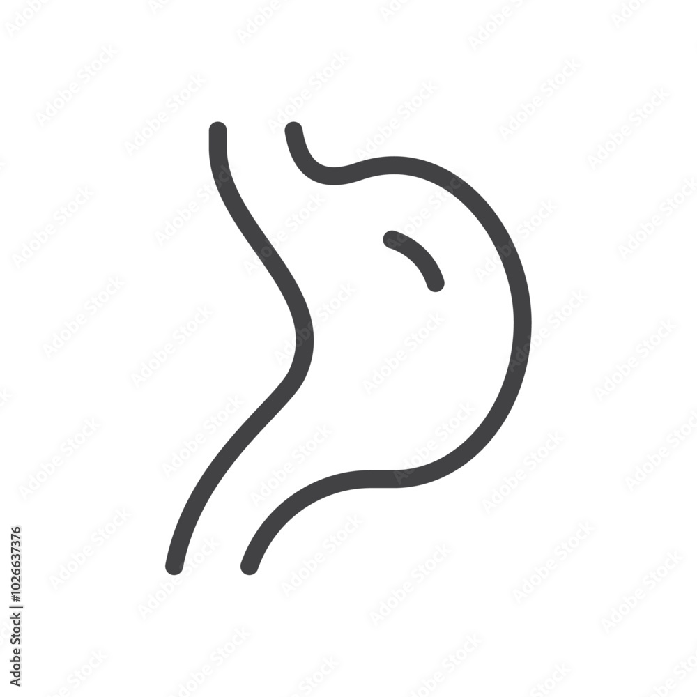 Stomach icon Thin outline art symbol