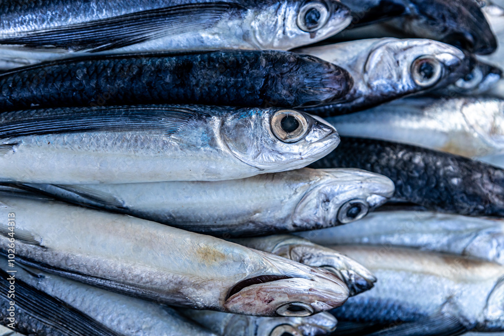 Fresh small silver fish in the market. Fresh food. Fresh small silver fish in the market. Fresh food.