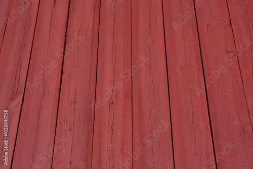 The background texture is a vertical red floorboard. photo