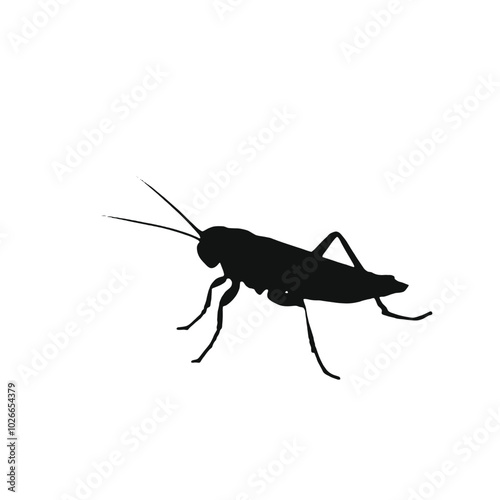 A black silhouette of a cricket or grasshopper insect 