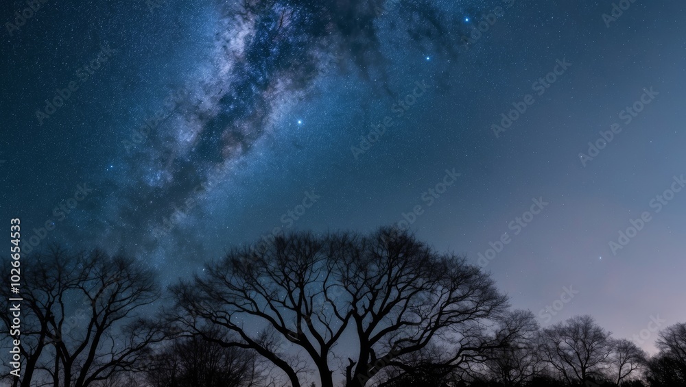 Starry Night Sky Over Dark Silhouetted Trees. Starry Night Sky Over Dark Silhouetted Trees.