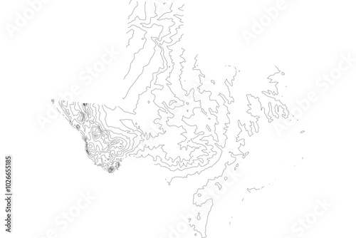 Texas State Elevation Contour Map SVG - Topographic Terrain Lines for Geographic Design & Cartography. Vector Lone Star Relief.