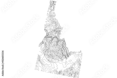  Idaho 1-bit contour map topography. Detailed elevation terrain lines in minimalist black and white vector graphic style. Scalable SVG file for cartography, GIS visualization, graphic design