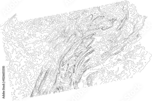  Pennsylvania 1-bit contour map topography. Detailed elevation lines minimalist black white vector graphic style. Scalable SVG for cartography, GIS visualization, graphic design, education, art prints