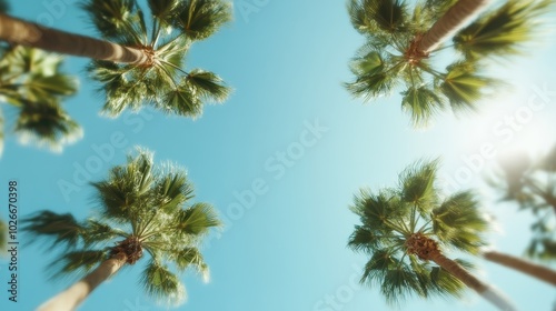 Majestic palm trees sway under a bright blue sky, epitomizing tranquility and the timeless beauty of nature, evoking feelings of relaxation and serenity.