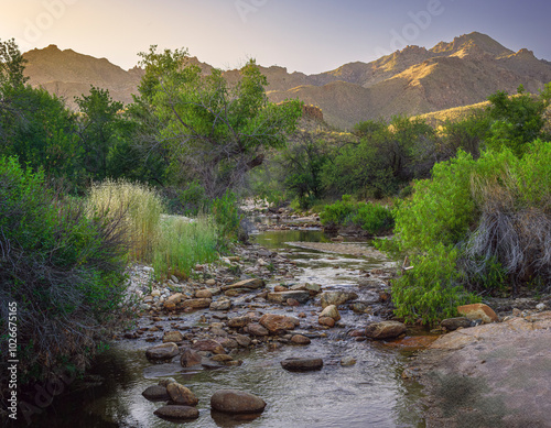 Tranquil Mountain Stream Surrounded by Lush Greenery at Sunset