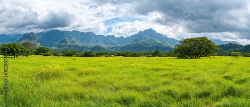  A grassy field with a mountain range behind, clouds overhead, and trees in the foreground