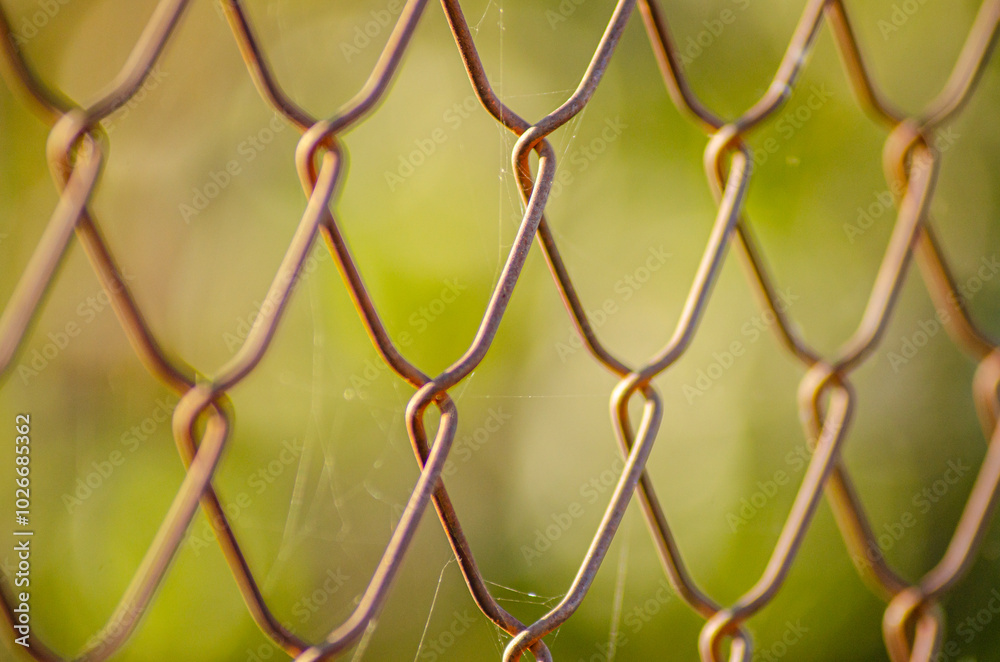 Fototapeta premium selective focus Close up of chain link fence with sunny landscape in the background, selective focus