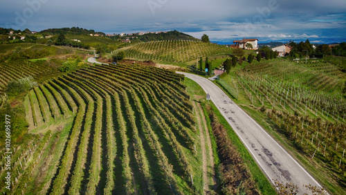 Casalotto, vigneti, Mombaruzzo, Asti, Piemonte, Italia dal drone