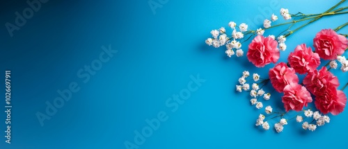  Pink carnations and white baby's breath on a blue backdrop Inscribe text or add an image here photo