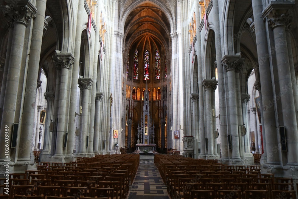 Fototapeta premium La basilique Saint Nicolas, de style néogothique, ville de Nantes, département de la Loire Atlantique, France