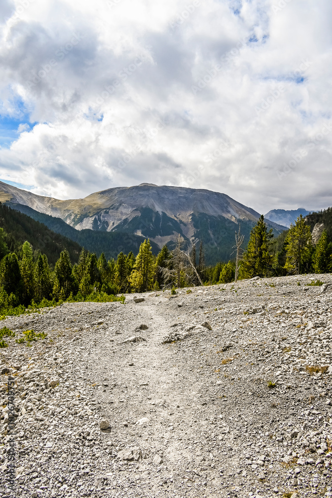 Fototapeta premium Zernez, Val dal Botsch, Bergbach, Piz dal Fuorn, Piz da Botsch, Schotter, Föhren, Wanderweg, Geröll, Gämse, Steinbock, Nationalpark, Alpen, Ofenpass, Herbst, Schweiz