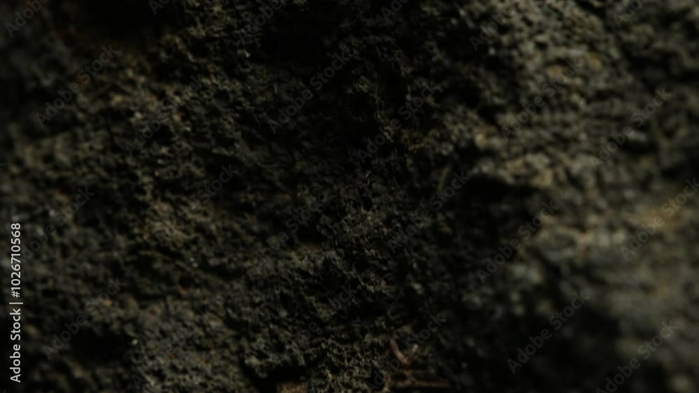 Rough dark stone texture with natural pits Rough dark stone texture with natural pits