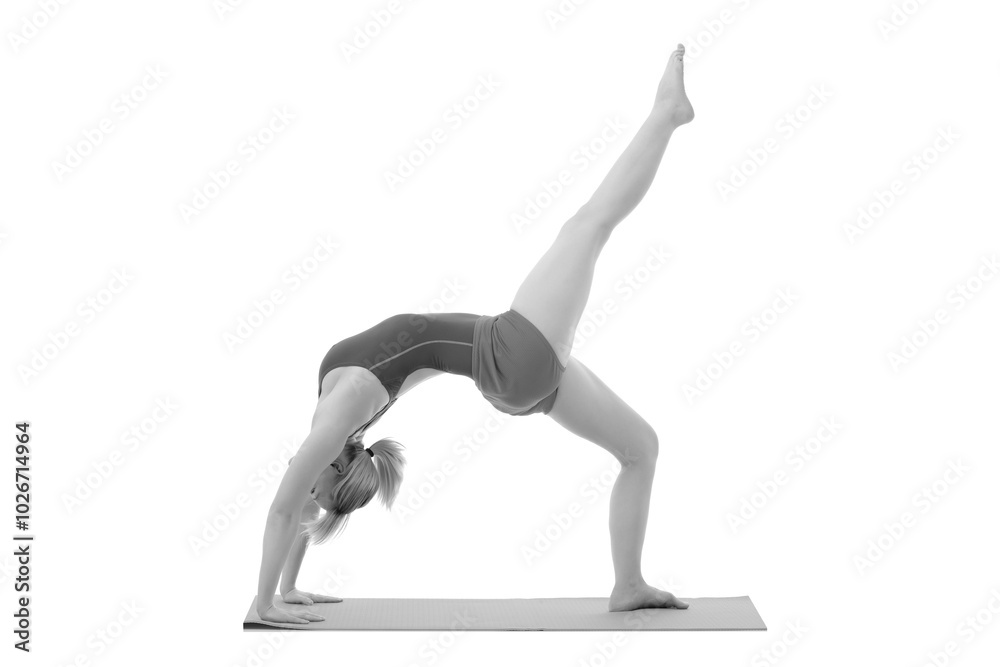 young flexible woman doing yoga young flexible woman doing yoga