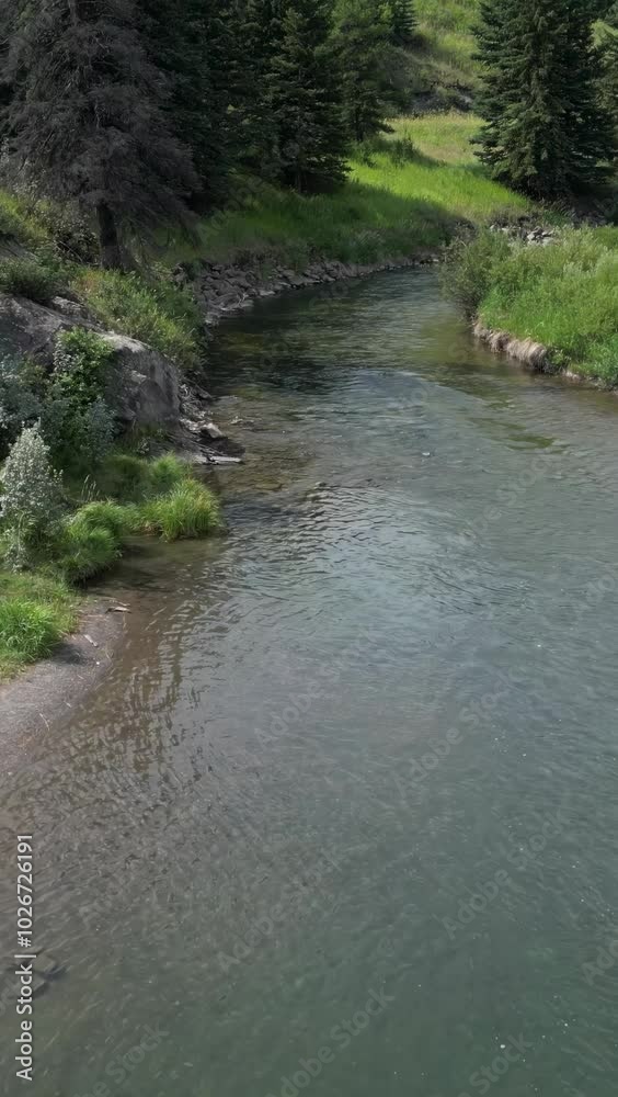 Slow motion shot of a beautiful clear water mountain river, flowing downstream. Crowsnest Pass, Alberta, Canada.