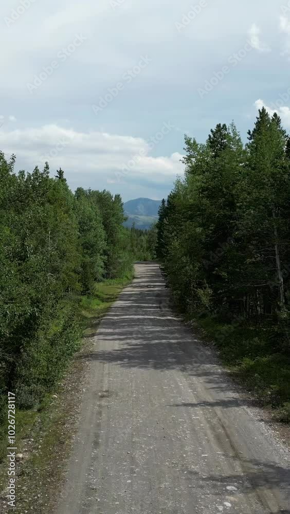 POV shot driving down a dirt road surrounded by forest and mountains. Crowsnest Pass, Alberta, Canada. POV shot driving down a dirt road surrounded by forest and mountains. Crowsnest Pass, Alberta, Canada.