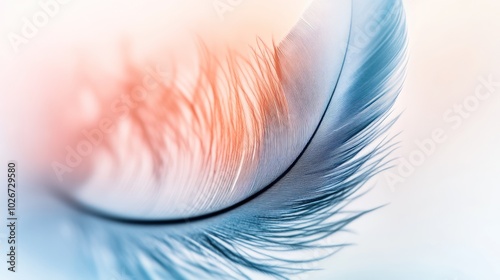 A Single Blue Feather with Soft, Blurred Edges