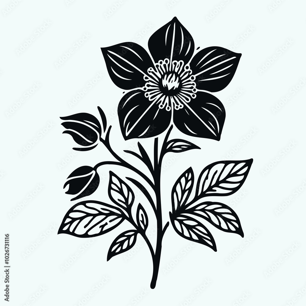 set of contour flower
line art of flowers, leaves
black and white illustration
set of decorative elements of plants