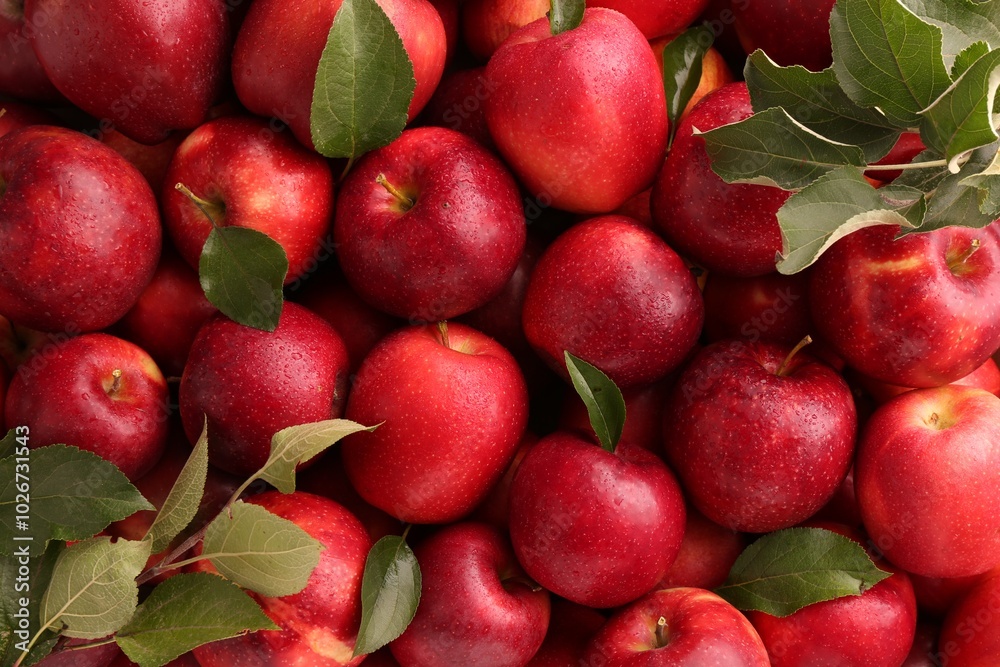 Obraz premium Fresh ripe red apples and green leaves as background, top view
