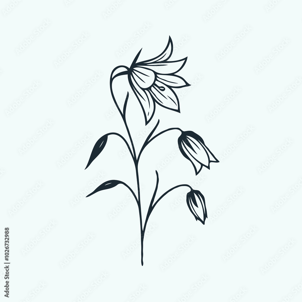 set of contour bluebell
line art of flowers, leaves
black and white illustration
set of decorative elements of plants set of contour bluebell
line art of flowers, leaves
black and white illustration
set of decorative elements of plants