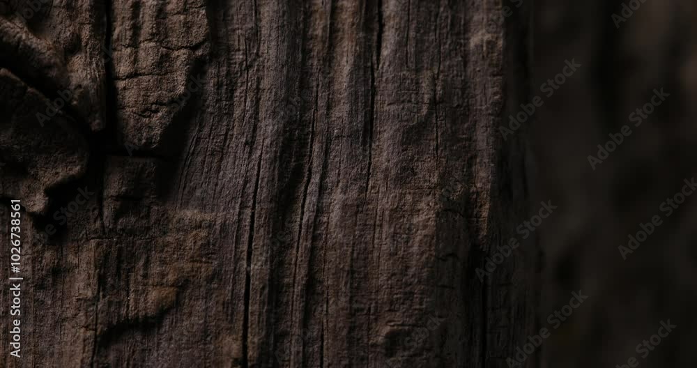 Close-Up of Dark Wood Texture with Deep Grooves Close-Up of Dark Wood Texture with Deep Grooves