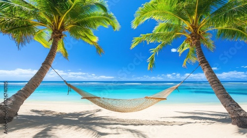 Hammock strung between two palm trees on a white sand beach