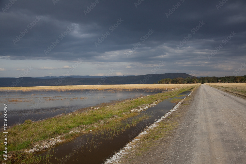 road to the sky in the savannah, Serengeti road to the sky in the savannah, Serengeti