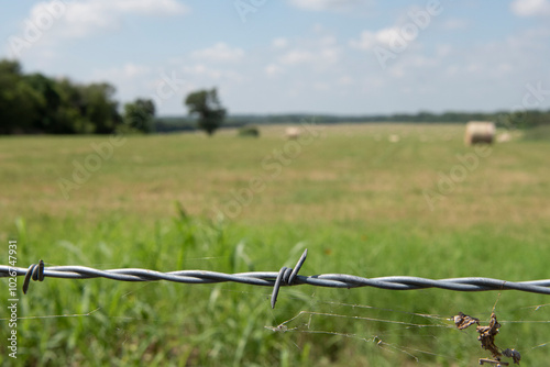 barbed wire fence in front of hay field in Texas
