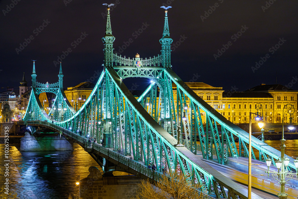Obraz premium Freedom Bridge at night, illuminated, from above, with the Danube river, houses in the background, Budapest, telephoto