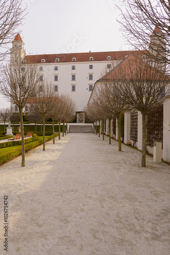 Photography Castle park, with a slightly blurred castle in the background, young bald trees