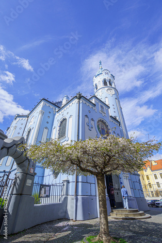 The Blue Church (Elizabeth Church) from a lower perspective, with a flowering tree in the foreground, in the sun, Slovakia, Bratislava, wide angle lens