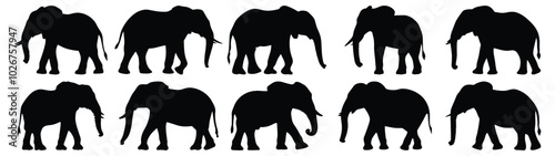 Elephant silhouettes set, animal pack of vector silhouette design, isolated background.