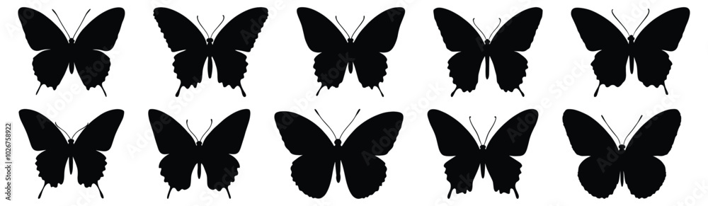 Butterfly silhouette set vector design big pack of insect illustration and icon Butterfly silhouette set vector design big pack of insect illustration and icon
