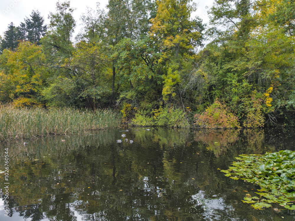 Fototapeta premium Autumn view of South Park in city of Sofia, Bulgaria