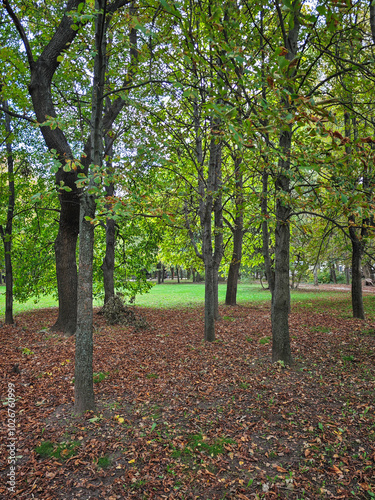 Autumn view of South Park in city of Sofia, Bulgaria