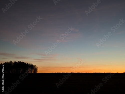 Sunset with Forest Silhouette and Dark Field