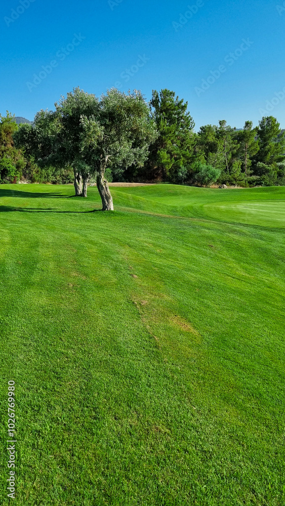 Landscape view of beautiful golf course in Cyprus Landscape view of beautiful golf course in Cyprus