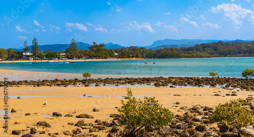 Obraz na płótnie Tallebudgera creek in the Gold Coast, Queensland, Australia w salonie