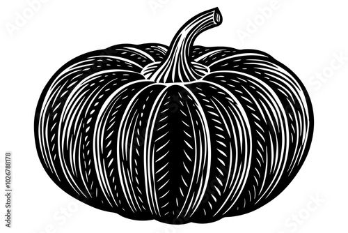 A pumpkin vintage woodcut illustration in a vintage style 