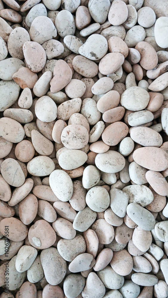 The round river stones are white and smooth. Stone background concept. The round river stones are white and smooth. Stone background concept.