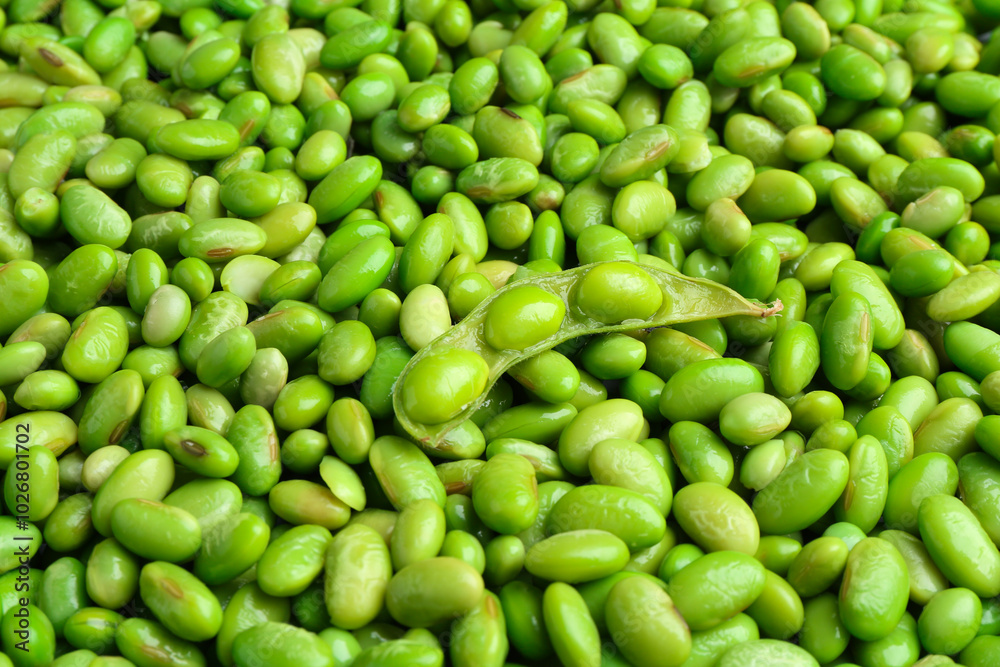 Fresh edamame beans and pod as background, closeup Fresh edamame beans and pod as background, closeup