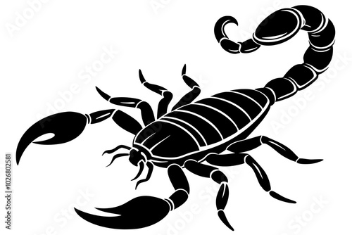 black scorpion species Palamedes fulvenes vector art illustration